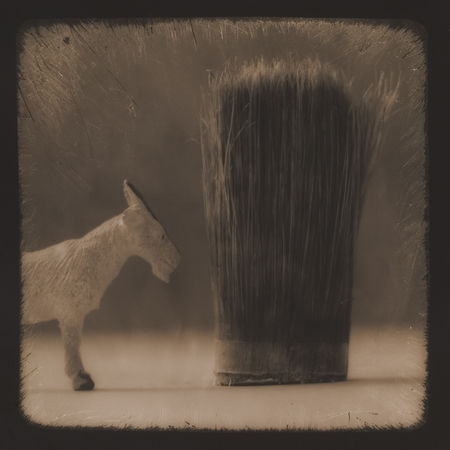 from the series Tales